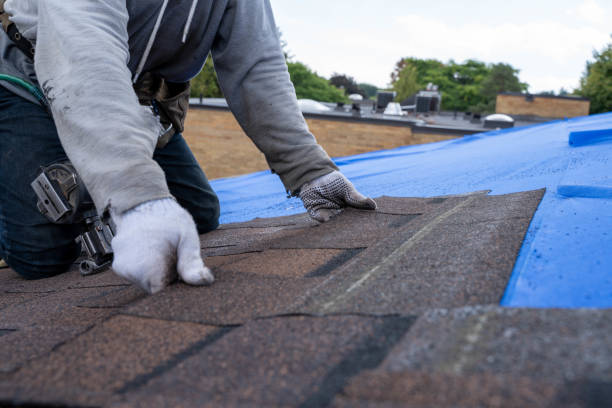 Best Roof Gutter Cleaning  in Saugatuck, CT